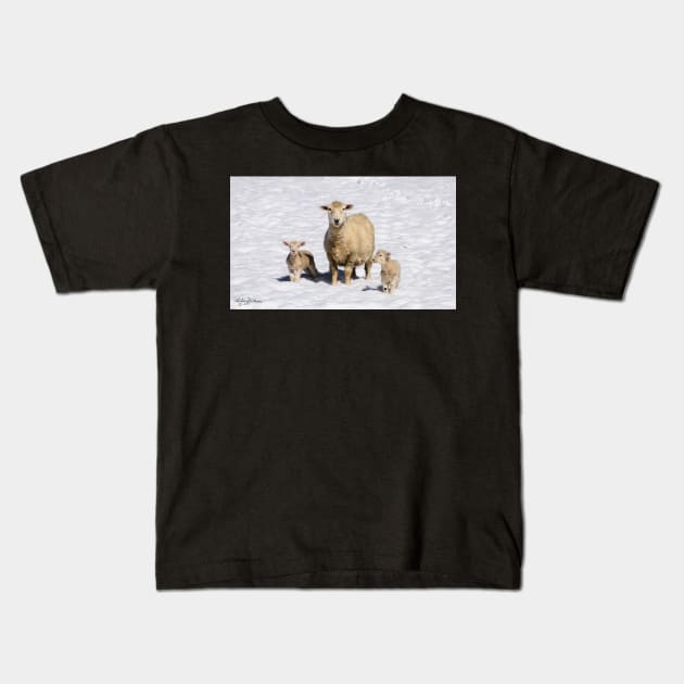 FROZEN LAMBS Kids T-Shirt by lordveritas